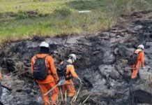 Bombeiros controlam incêndio de grandes proporções em região de mata do Pai Inácio, na Chapada Diamantina