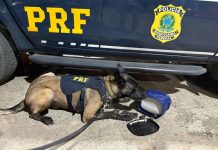 PRF apreende maconha escondida em garrafa térmica dentro de ônibus na BR-116 PRF apreende maconha escondida em garrafa térmica dentro de ônibus na BR-116