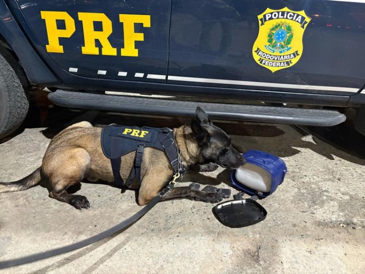 PRF apreende maconha escondida em garrafa térmica dentro de ônibus na BR-116