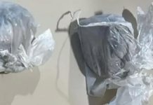 RONDESP apreende drogas durante patrulhamento na BR-242 RONDESP apreende drogas durante patrulhamento na BR-242