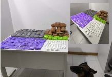 CIPE Chapada apreende grande quantidade de drogas com auxílio de cão farejador em Ruy Barbosa CIPE Chapada apreende grande quantidade de drogas com auxílio de cão farejador em Ruy Barbosa