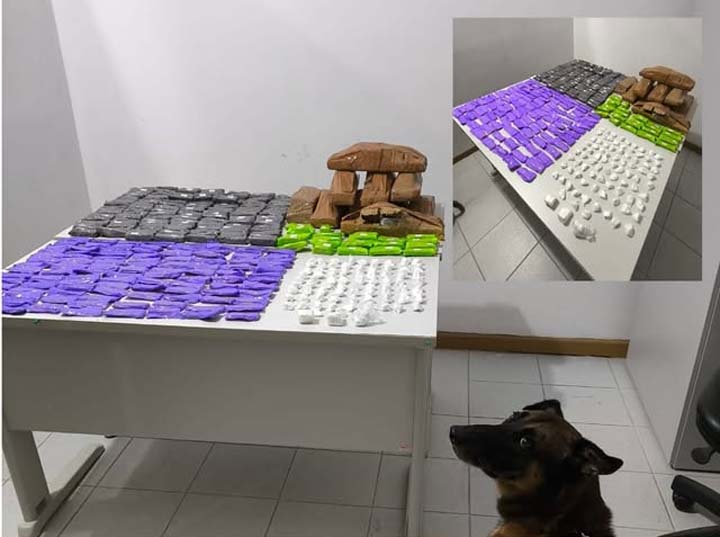 CIPE Chapada apreende grande quantidade de drogas com auxílio de cão farejador em Ruy Barbosa