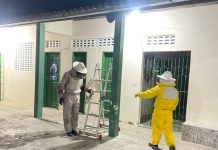 Enxame de abelhas suspende aulas em colégio municipal de Ipirá Enxame de abelhas suspende aulas em colégio municipal de Ipirá