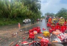 Três funcionários de cervejaria morrem após acidente entre caminhões
