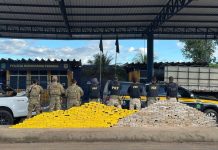 Policia aprende 460 Kg de drogas na BR-242