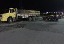 PRF apreende mais de 22 m³ de madeira nativa transportada ilegalmente na BR 116, em Milagres