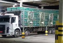 Caminhão com 2 mil frangos é apreendido no interior da Bahia