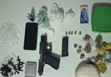 Cruz das Almas: Suspeito morre em confronto com a PM próximo à UFRB; arma e drogas são apreendidas Cruz das Almas: Suspeito morre em confronto com a PM próximo à UFRB; arma e drogas são apreendidas