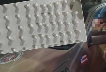 Rondesp Chapada apreende 119 pinos de cocaína durante patrulhamento em Itaberaba Rondesp Chapada apreende 119 pinos de cocaína durante patrulhamento em Itaberaba