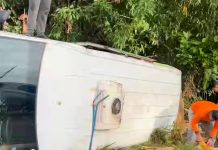 Veículo carregado com frangos capota na BR-330