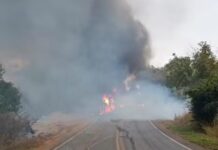 URGENTE: Carreta com carga de caroço de algodão pega fogo na manhã deste sábado URGENTE: Carreta com carga de caroço de algodão pega fogo na manhã deste sábado