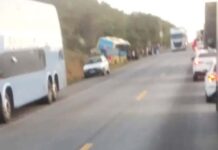 Ônibus da Novo Horizonte se envolve em acidente