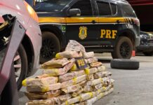 PRF apreende mais de 50 kg de maconha durante fiscalização na BR-242