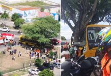 Dez pessoas ficam feridas após ônibus escolar com mais de 50 estudantes bater em árvore