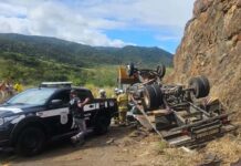 Motorista e passageiro morrem após caminhão que levava cavalos tombar