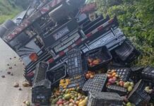 Homem morre após caminhão carregado com manga tombar Caminhoneiro morre após veículo tombar na BR-330 em Jequié