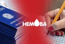 Hemoba anuncia processo seletivo com 199 vagas e salários que chegam a R$ 6,6 mil
