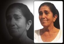 Idosa de 70 anos morre após ser atacada por vaca em Ipirá