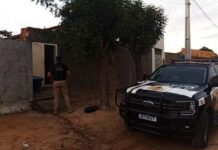 Policia prende dupla investigada por armazenamento de material pornográfico infantil Poicia prende dupla investigada por armazenamento de material pornográfico infantil