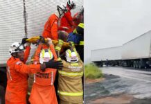 Bombeiros resgatam motorista que ficou preso às ferragens em acidente com caminhões na BR-242