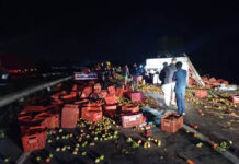 Três pessoas morrem e uma fica em estado grave após batida entre caminhões e carro na BR-116