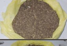 Policia apreende drogas após perseguição nos “Predinhos” em Itaberaba