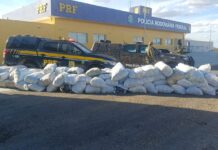 Mais de 750 kg de maconha são apreendidos pela PRF em caminhão