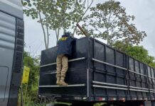 PRF apreende madeira nativa transportada irregularmente em Gandu PRF apreende madeira nativa transportada irregularmente em Gandu