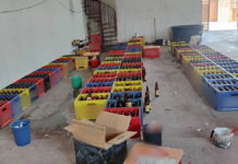 Polícia apreende carga com 140 caixas de cerveja falsificada Polícia apreende carga com 140 caixas de cerveja falsificada