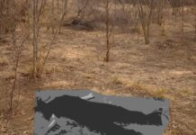 Corpo é encontrado às margens da BR-242 Corpo é encontrado às margens da BR-242, em Oliveira dos Brejinhos