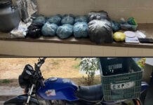 Policia apreende mais de 6 kg de maconha durante operação na zona rural de Ipirá RONDESP Chapada apreende mais de 6 kg de maconha durante operação na zona rural de Ipirá