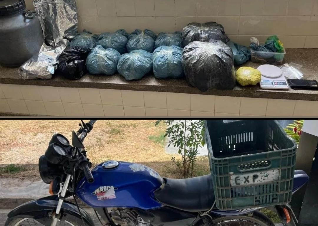 RONDESP Chapada apreende mais de 6 kg de maconha durante operação na zona rural de Ipirá