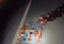 Homem é atropelado na BR-101 em Humildes, distrito de Feira de Santana, na noite deste domingo Homem é atropelado na BR-101 em Humildes, distrito de Feira de Santana, na noite deste domingo