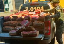 Policia apreende mais de 2 toneladas de carvão vegetal ilegal durante operação ambiental Policia apreende mais de 2 toneladas de carvão vegetal ilegal durante operação ambiental