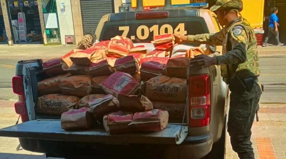 Policia apreende mais de 2 toneladas de carvão vegetal ilegal durante operação ambiental