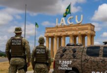 Policia recupera gado roubado na zona rural de Iaçu PMBA recupera gado roubado na zona rural de Iaçu, na Chapada Diamantina