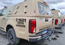 CIPPA Lençóis apreende armas de fogo, resgata animais silvestres e conduz suspeito por caça ilegal em Cotegipe