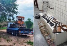 CIPPA Lençóis flagra desmatamento na zona rural de Ruy Barbosa e apreende armas, animais silvestres e maquinário CIPPA Lençóis flagra desmatamento na zona rural de Ruy Barbosa e apreende armas, animais silvestres e maquinário