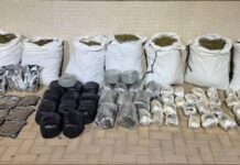 Polícias apreendem 128 kg de maconha e prendem suspeito em operação em Irecê