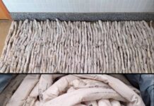 Operação conjunta apreende 53 emulsões explosivas em garimpo irregular de Sento Sé Operação conjunta apreende 53 emulsões explosivas em garimpo irregular de Sento Sé