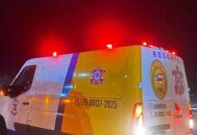 Animal na pista provoca grave acidente na BA-052, em Ipirá Animal na pista provoca grave acidente na BA-052, em Ipirá