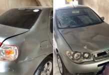 Carro com cinco ocupantes colide com cavalo solto na BR-242 Carro com cinco ocupantes colide com cavalo solto na BR-242