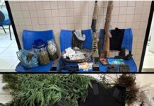 CIPE/Chapada apreende drogas, armas e colete balístico após confronto na zona rural de Palmeiras CIPE/Chapada apreende drogas, armas e colete balístico após confronto na zona rural de Palmeiras