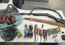 Policia apreende arma, munições e animais silvestres na BA-330 Policia apreende arma, munições e animais silvestres na BA-330