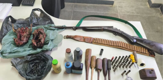 Policia apreende arma, munições e animais silvestres na BA-330 Policia apreende arma, munições e animais silvestres na BA-330