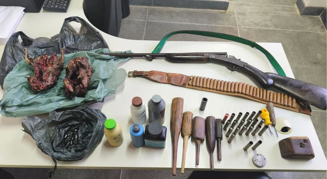 Policia apreende arma, munições e animais silvestres na BA-330