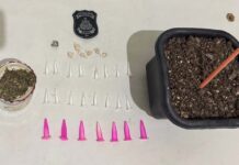 Polícia Civil prende suspeito por tráfico de drogas durante operação em Itaberaba Polícia Civil prende suspeito por tráfico de drogas durante operação em Itaberaba