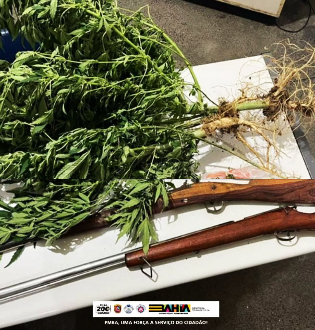 Policia apreende maconha e espingardas durante operação em Wagner