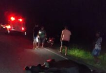 Animais soltos na pista provocam dois acidentes na BA-233, entre Ipirá e Itaberaba Animais soltos na pista provocam dois acidentes na BA-233, entre Ipirá e Itaberaba