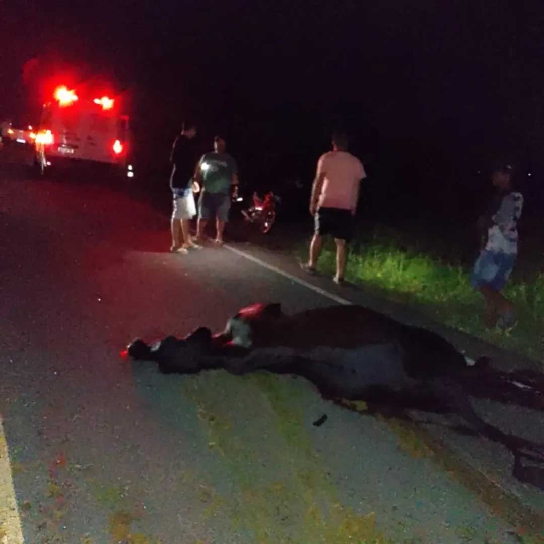Animais soltos na pista provocam dois acidentes na BA-233, entre Ipirá e Itaberaba